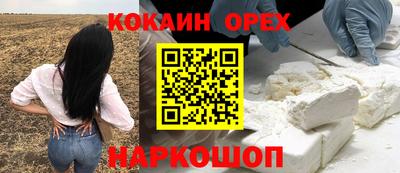 индика Анжеро-Судженск