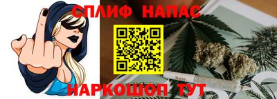 индика Анжеро-Судженск