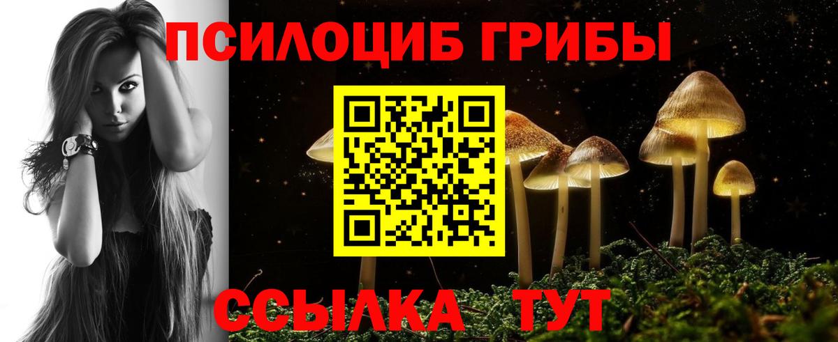 Галлюциногенные грибы Psilocybe  Псилоцибиновые грибы GOLDEN TEACHER  Вход с VPN  Верхняя Салда 